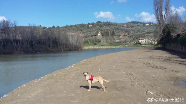 1725789650954036659.jpg 英雄联盟直播-【专栏】王勤伯:内心有狗